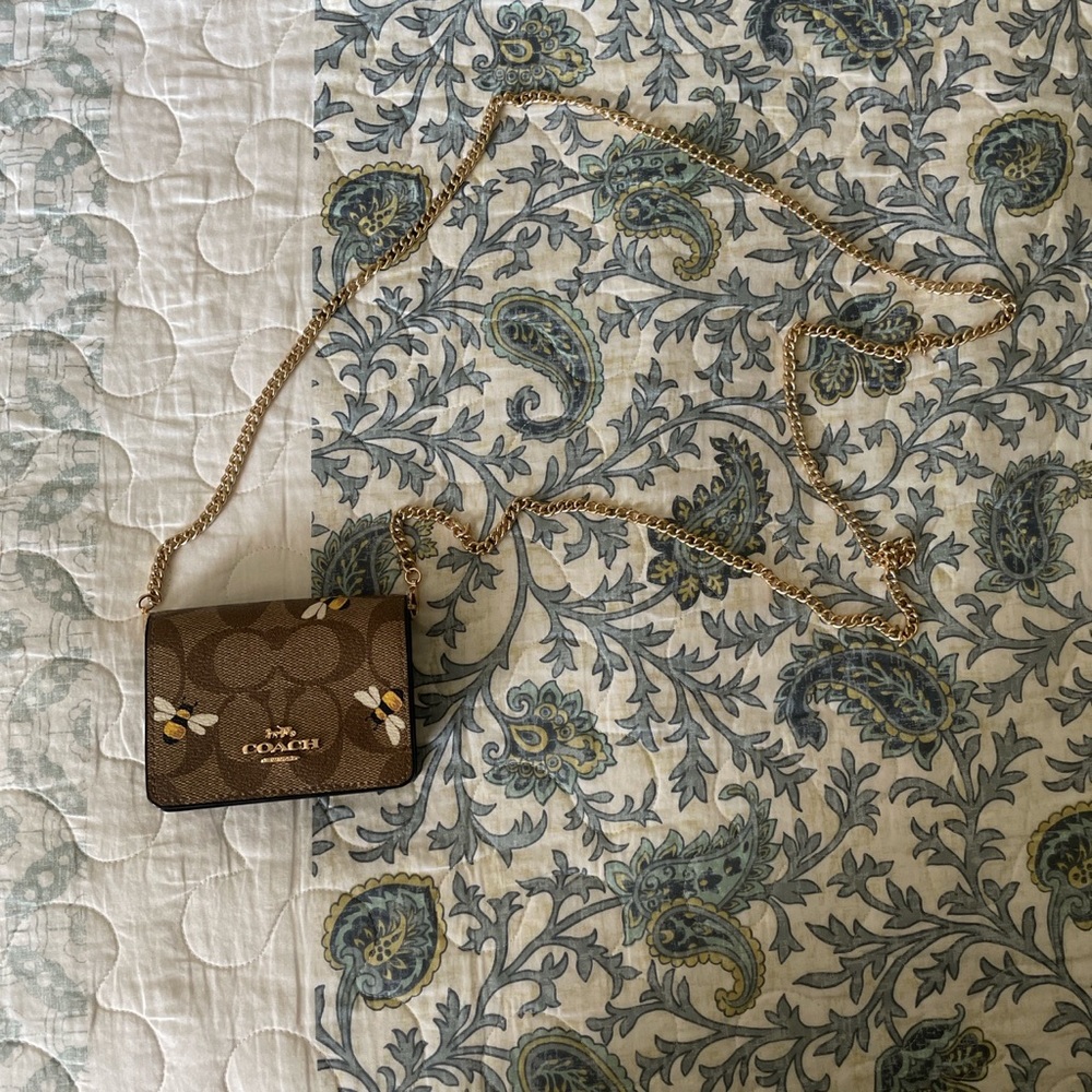Mini Coach Wallet With Detachable Chain In Bee Print